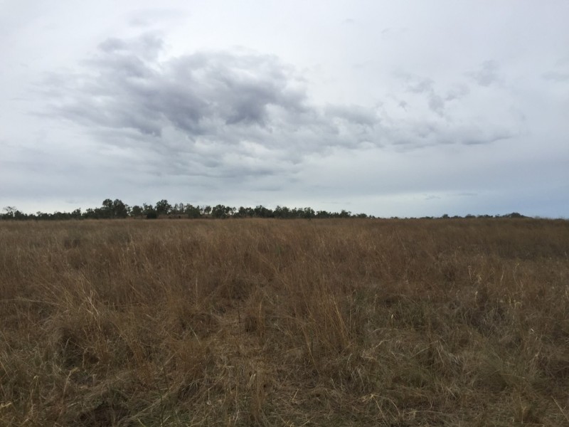 Lot 7 Henningsen Road, Oakey QLD 4401