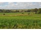 91 Brooklands Pimpinbudgee Road, Maidenwell QLD 4615