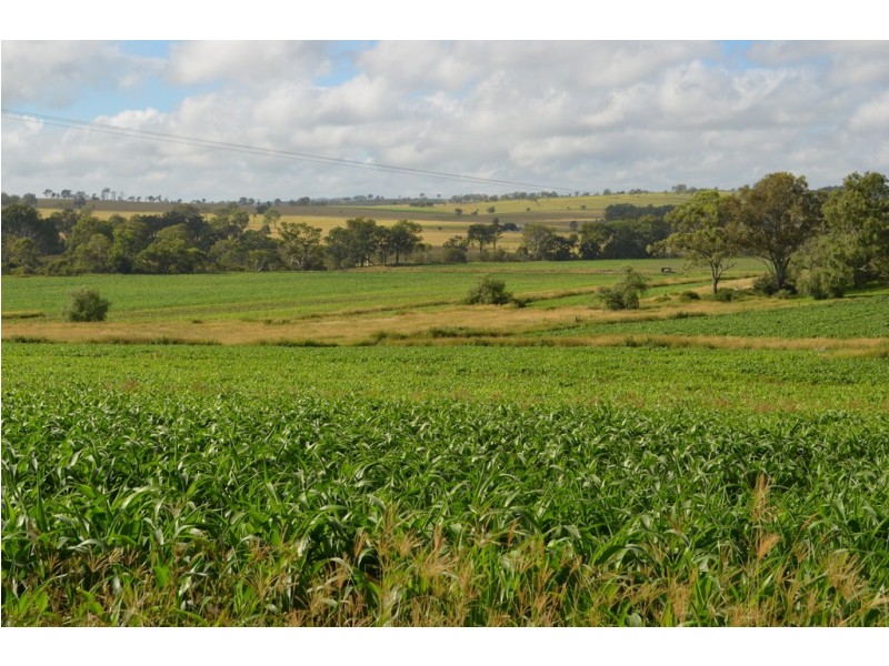 91 Brooklands Pimpinbudgee Road, Maidenwell QLD 4615