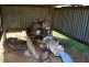 91 Brooklands Pimpinbudgee Road, Maidenwell QLD 4615