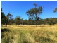 Proposed Lot 3 Binda Drive, Cranley QLD 4350