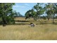 Karara QLD 4352
