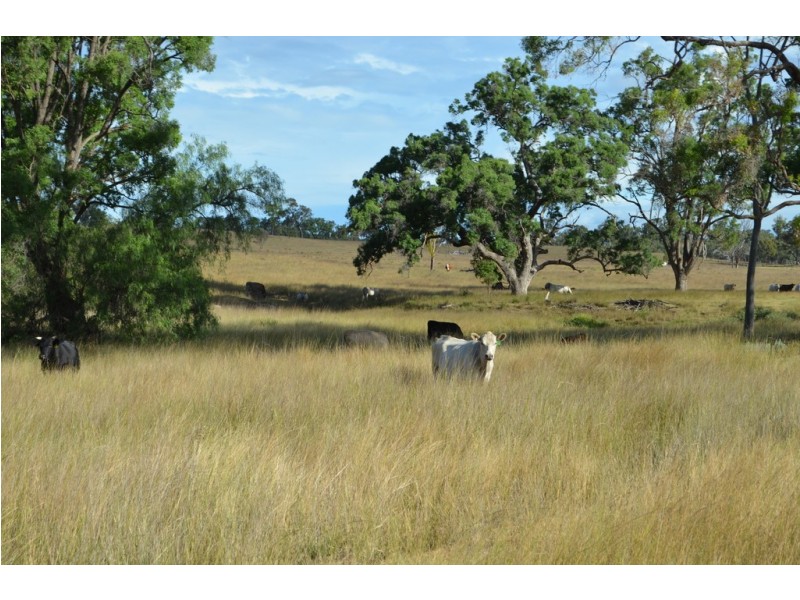 Karara QLD 4352