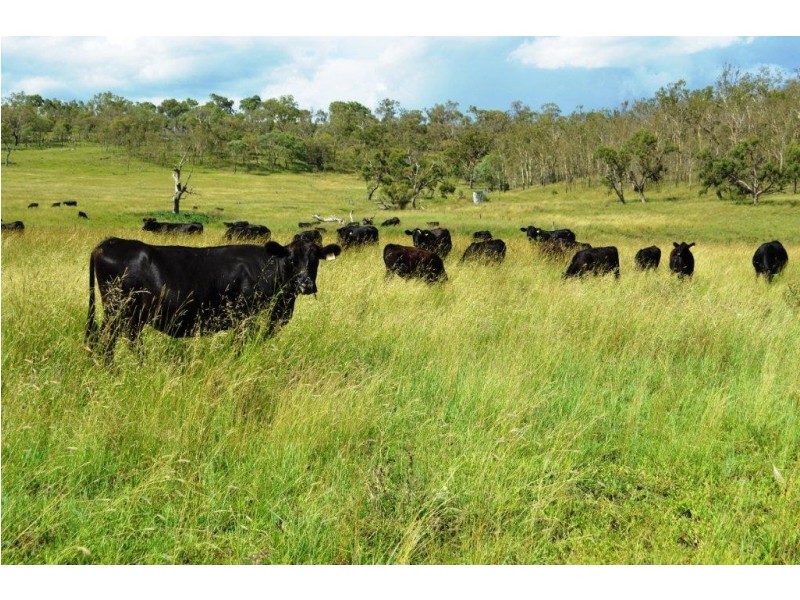 309 Avondale Road, Pittsworth QLD 4356