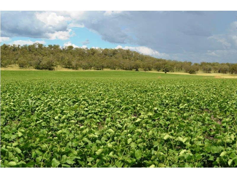 309 Avondale Road, Pittsworth QLD 4356