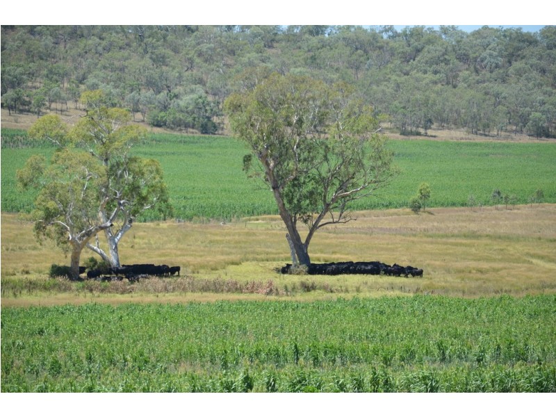 309 Avondale Road, Pittsworth QLD 4356