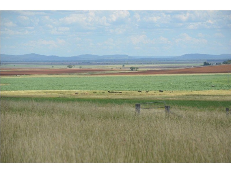 309 Avondale Road, Pittsworth QLD 4356