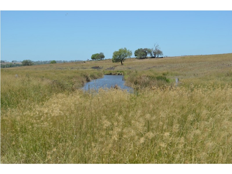 309 Avondale Road, Pittsworth QLD 4356