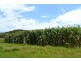 Lot 190 and 240 Reeds Road, Peranga QLD 4352