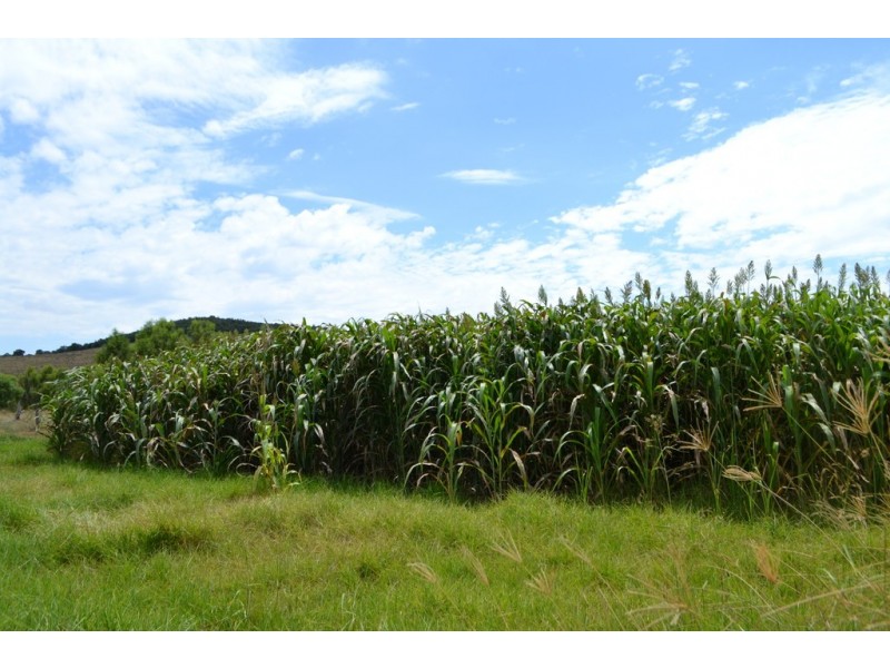 Lot 190 and 240 Reeds Road, Peranga QLD 4352