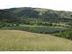 561 Lefthand Branch Road, Lefthand Branch QLD 4343