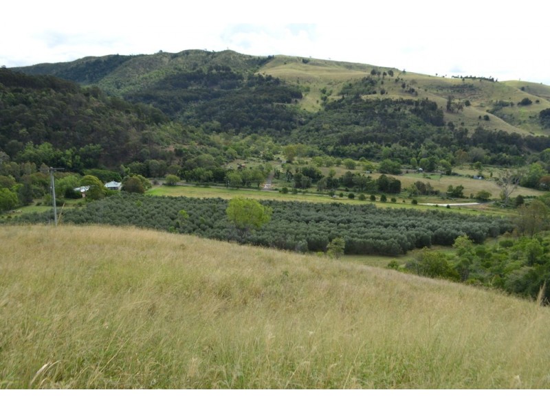 561 Lefthand Branch Road, Lefthand Branch QLD 4343