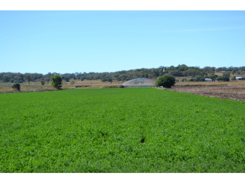864 Oakey Pittsworth Road, Aubigny QLD 4401