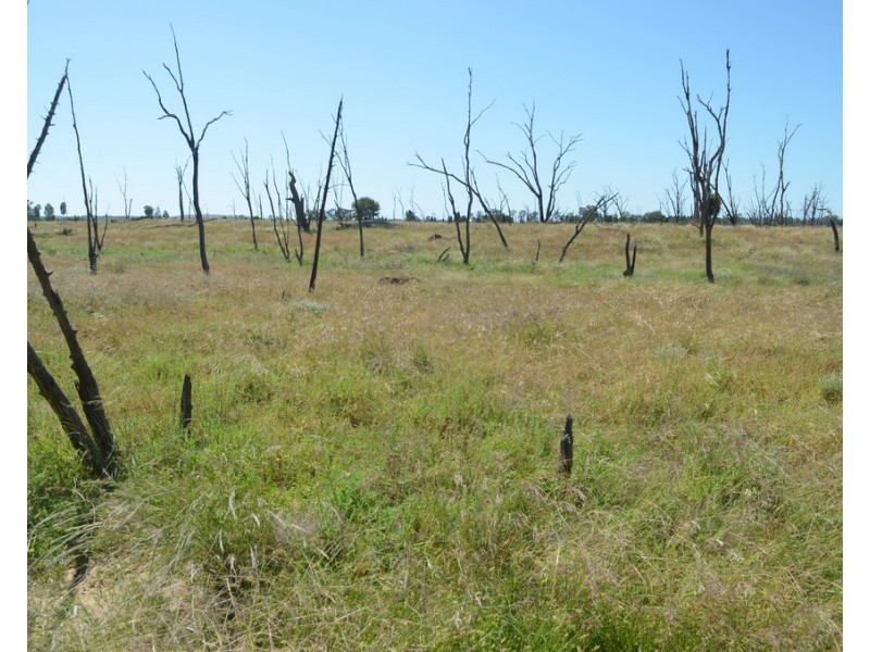 Lot 3 Unnamed Road, Kooroongarra QLD 4357