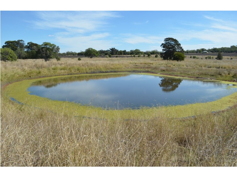 0 Evanslea Road, Evanslea QLD 4356