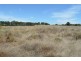 0 Evanslea Road, Evanslea QLD 4356