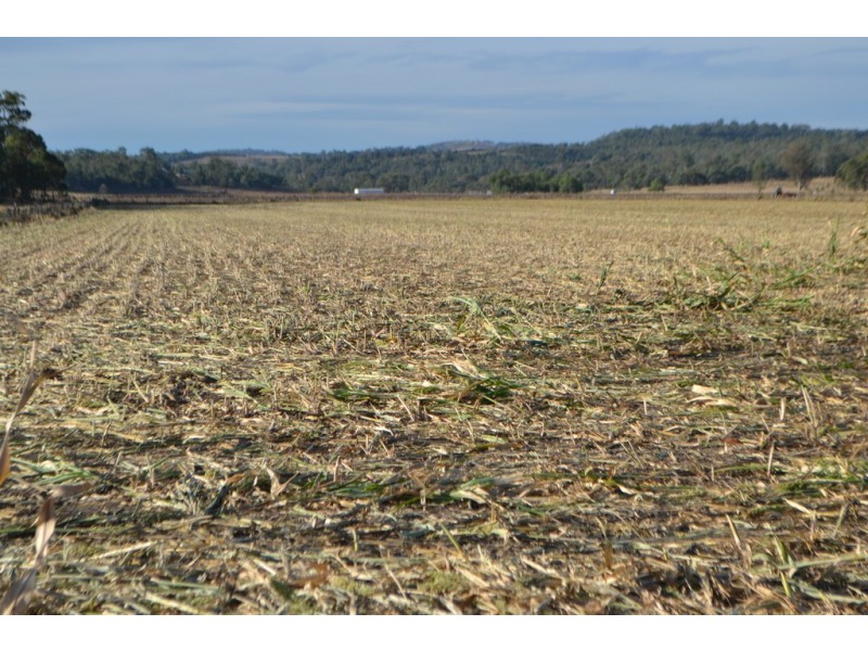 Lot 12 Douglas Plainby Road, Douglas QLD 4354