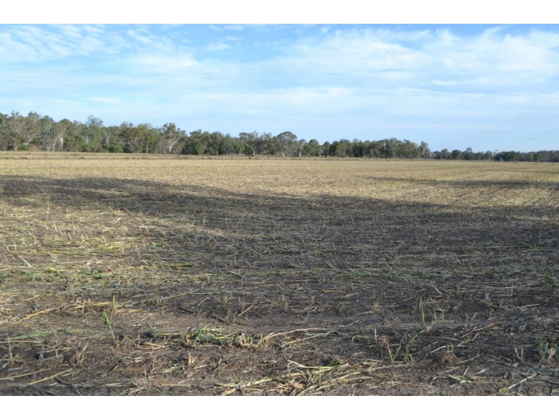 Lot 12 Douglas Plainby Road, Douglas QLD 4354