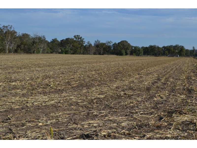 Lot 12 Douglas Plainby Road, Douglas QLD 4354