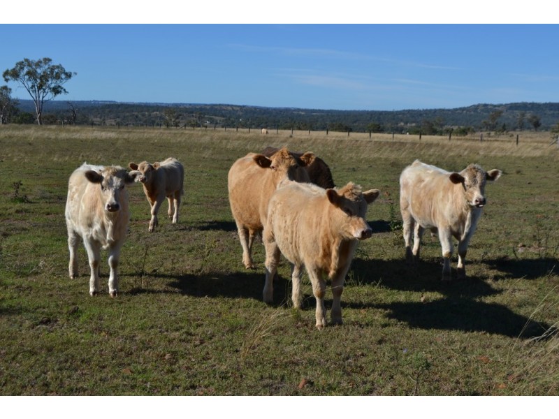 Lot 25 Goombungee Meringandan Road, Goombungee QLD 4354