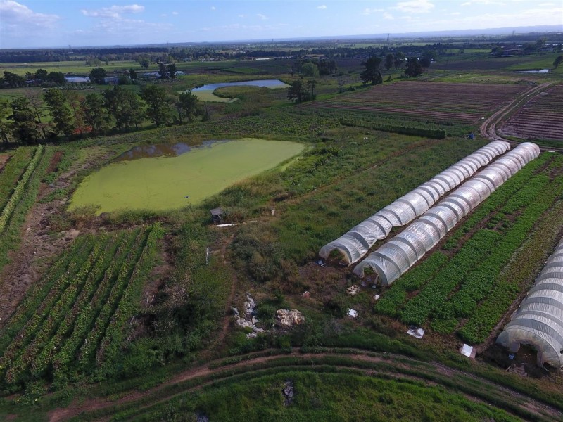 201-217 Aldington Road, Kemps Creek NSW 2178