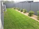 5 Oxalis Street, Denham Court NSW 2565