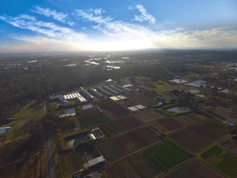 284 Thirteenth Avenue, Austral NSW 2179