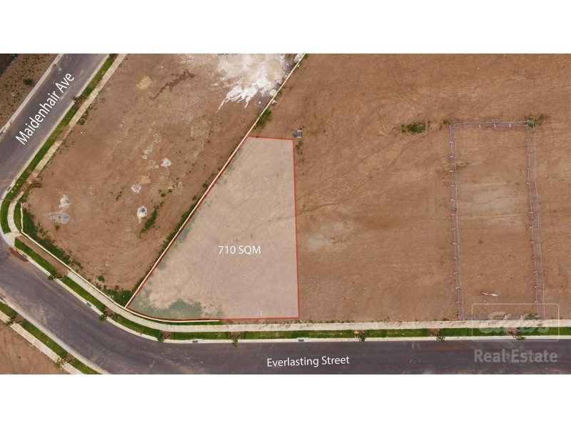3 Everlasting Street, Denham Court NSW 2565