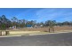 3 Everlasting Street, Denham Court NSW 2565
