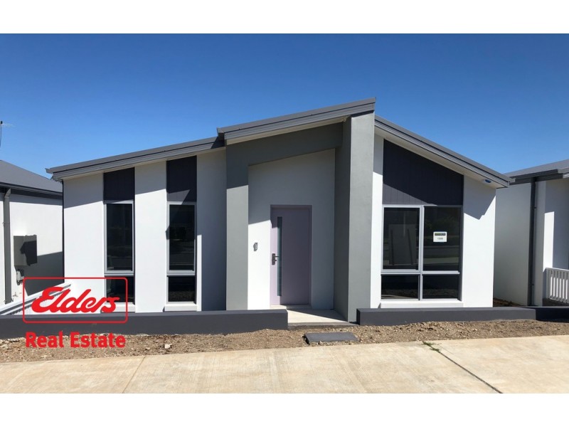 153 Liz Kernohan Drive, Elderslie NSW 2570