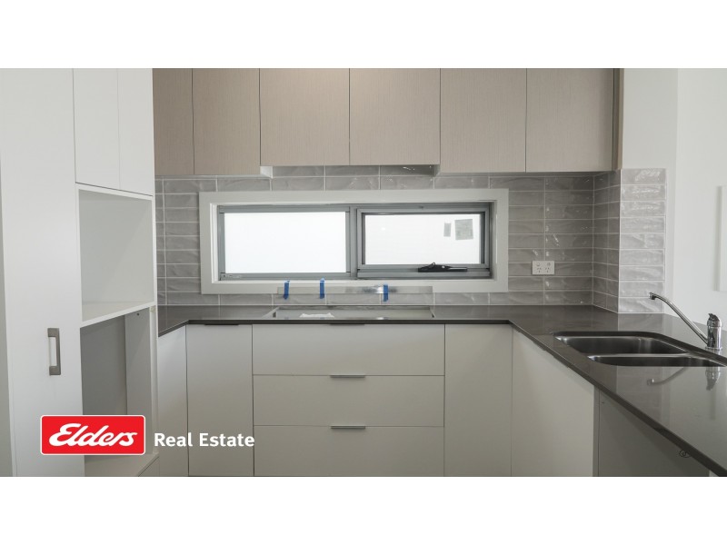 153 Liz Kernohan Drive, Elderslie NSW 2570