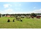 6 YEWENS CIRCUIT, Grasmere NSW 2570