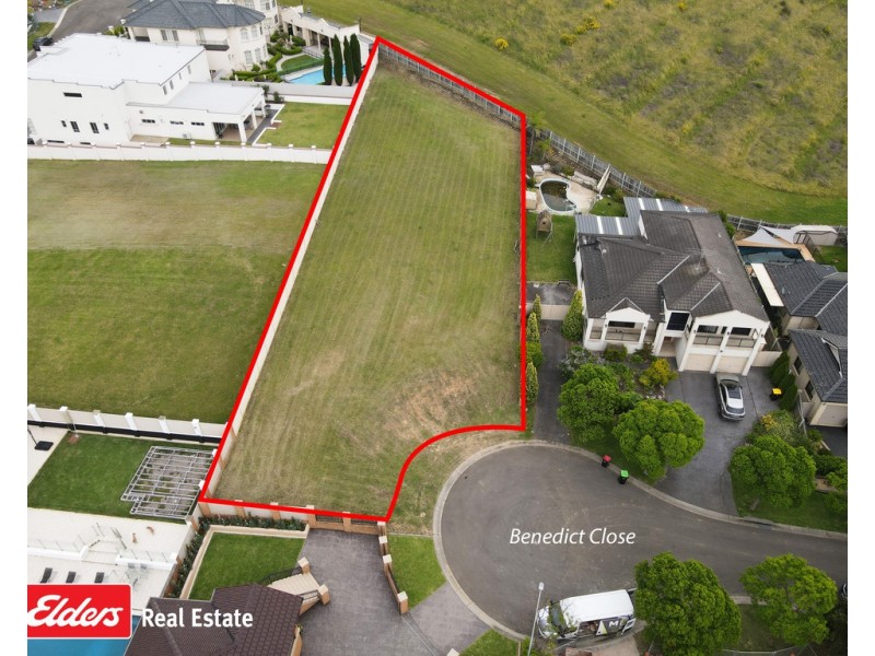 24 Benedict Close, Cecil Hills NSW 2171