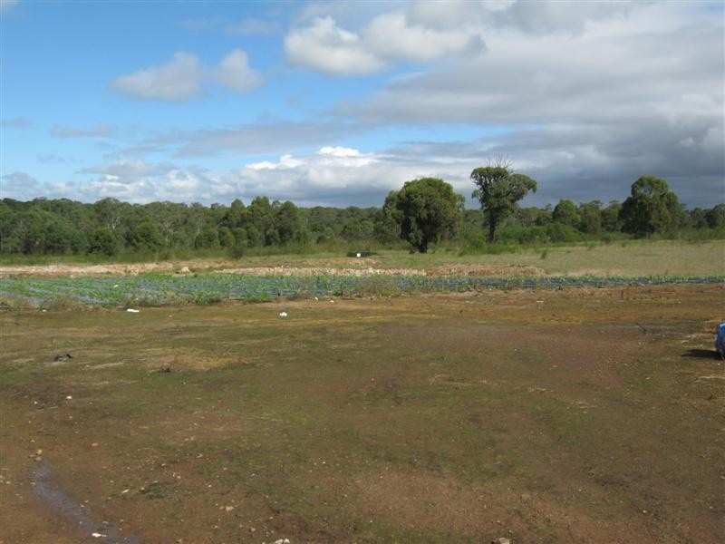 Edmondson Park NSW 2174