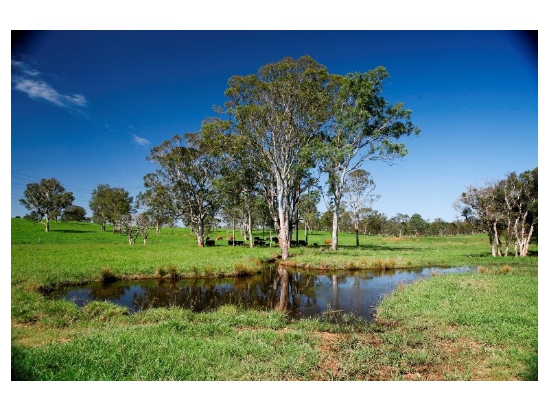 738 Cut Hill Road, Cobbitty NSW 2570