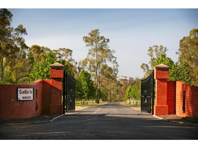 738 Cut Hill Road, Cobbitty NSW 2570