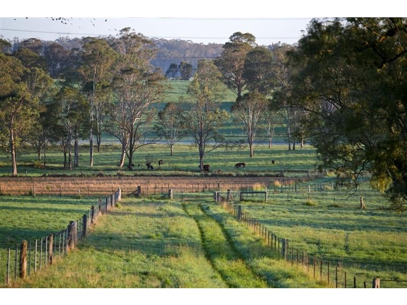 738 Cut Hill Road, Cobbitty NSW 2570