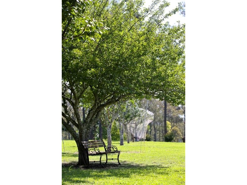 738 Cut Hill Road, Cobbitty NSW 2570