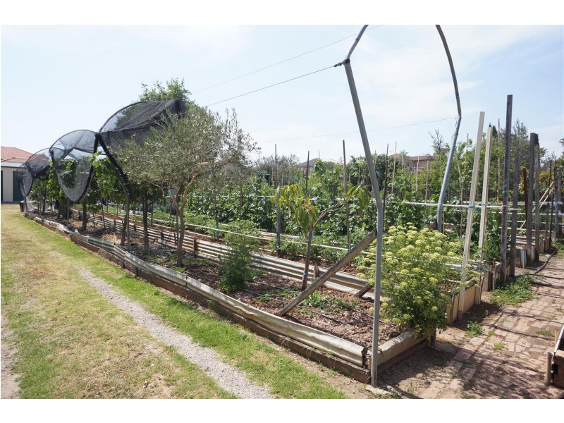 Mount Pritchard NSW 2170