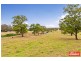 705 Cut Hill Road, Cobbitty NSW 2570