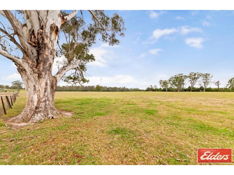 705 Cut Hill Road, Cobbitty NSW 2570