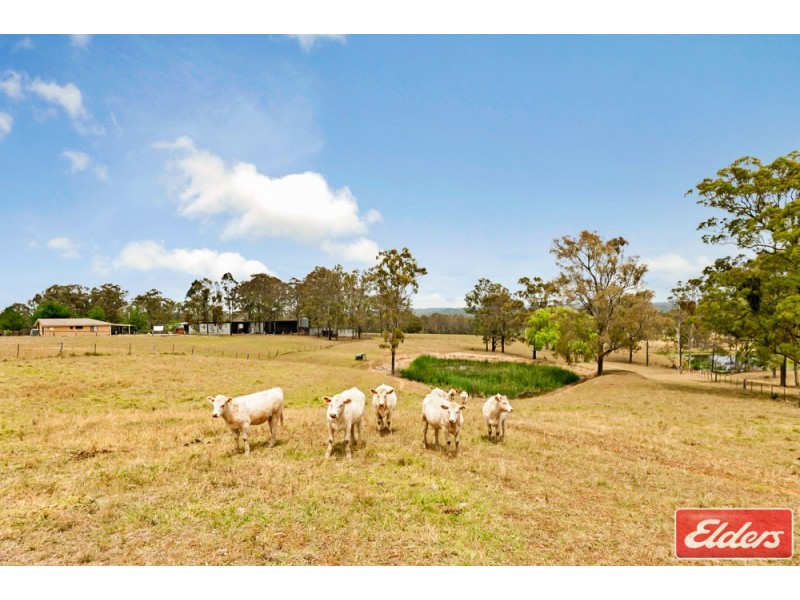 705 Cut Hill Road, Cobbitty NSW 2570