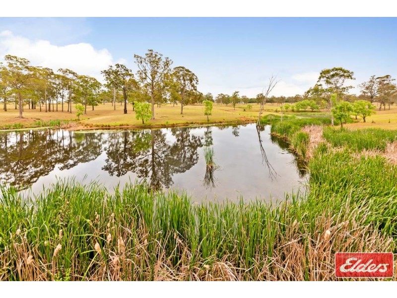 705 Cut Hill Road, Cobbitty NSW 2570