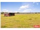 705 Cut Hill Road, Cobbitty NSW 2570