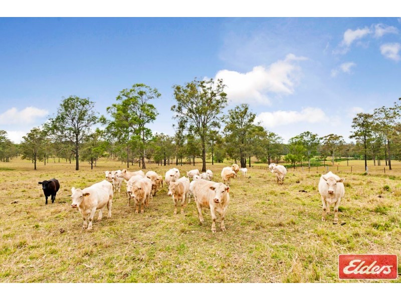 705 Cut Hill Road, Cobbitty NSW 2570