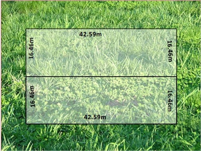 175-177 Tramway Parade, Beaumaris VIC 3193
