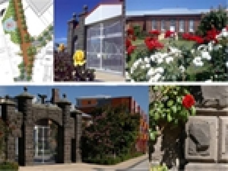 S13 Wardens Walk, Coburg VIC 3058