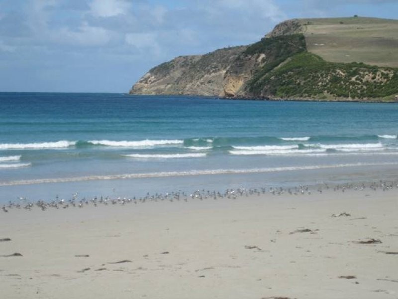 Lot 17 Panoramic Drive, Cape Bridgewater VIC 3305