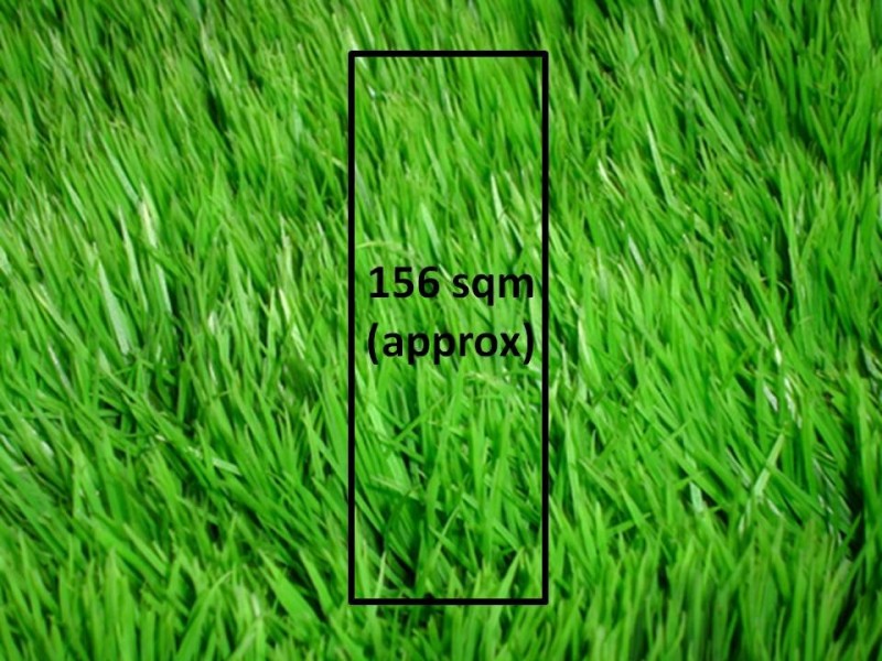 13 Wilkinson Street, Brunswick VIC 3056