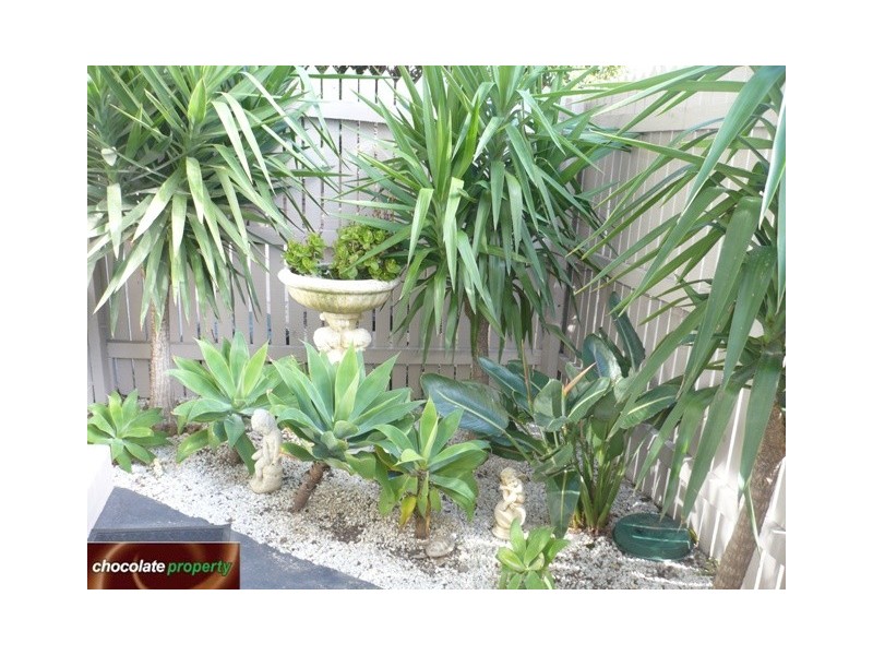 2/980 Lygon Street, Carlton North VIC 3054